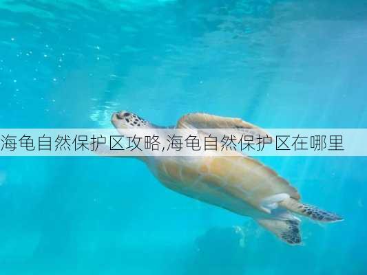 海龟自然保护区攻略,海龟自然保护区在哪里