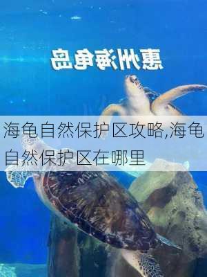 海龟自然保护区攻略,海龟自然保护区在哪里