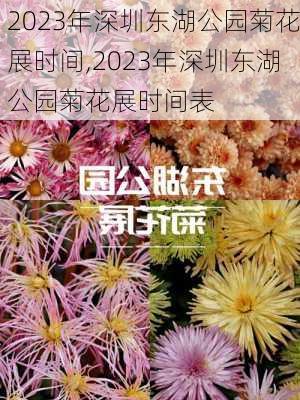 2023年深圳东湖公园菊花展时间,2023年深圳东湖公园菊花展时间表