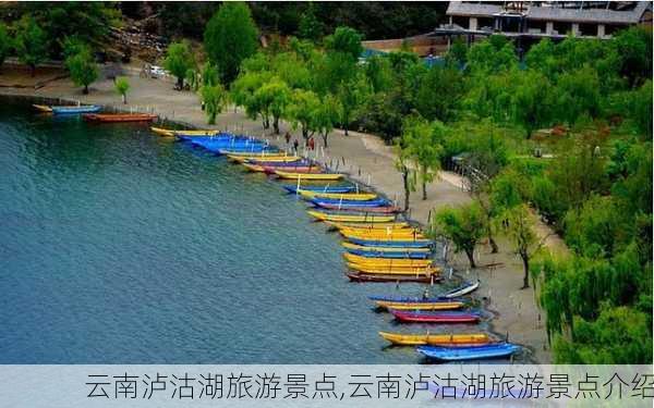 云南泸沽湖旅游景点,云南泸沽湖旅游景点介绍