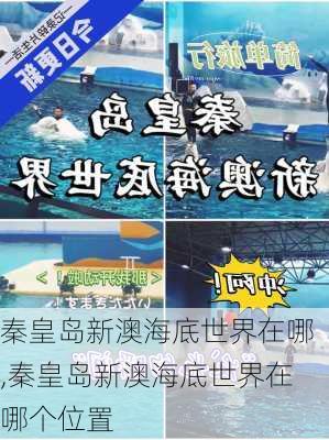 秦皇岛新澳海底世界在哪,秦皇岛新澳海底世界在哪个位置