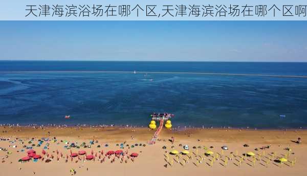 天津海滨浴场在哪个区,天津海滨浴场在哪个区啊