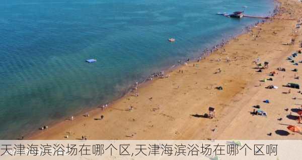 天津海滨浴场在哪个区,天津海滨浴场在哪个区啊