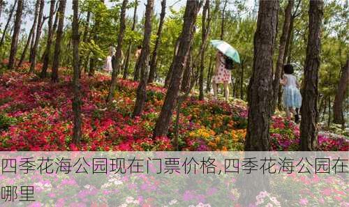 四季花海公园现在门票价格,四季花海公园在哪里