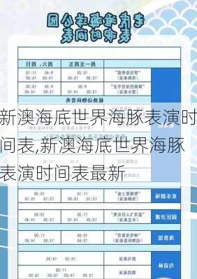 新澳海底世界海豚表演时间表,新澳海底世界海豚表演时间表最新