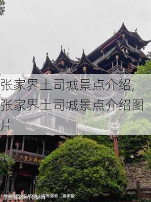 张家界土司城景点介绍,张家界土司城景点介绍图片