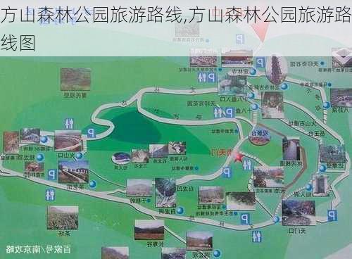 方山森林公园旅游路线,方山森林公园旅游路线图