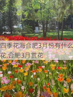 四季花海合肥3月份有什么花,合肥3月赏花