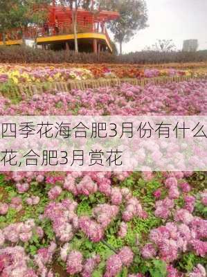 四季花海合肥3月份有什么花,合肥3月赏花