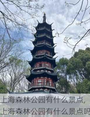 上海森林公园有什么景点,上海森林公园有什么景点吗