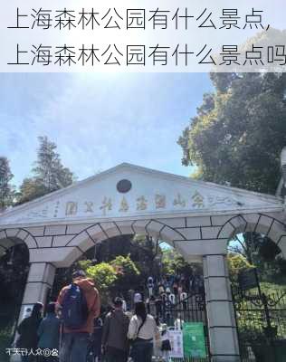 上海森林公园有什么景点,上海森林公园有什么景点吗