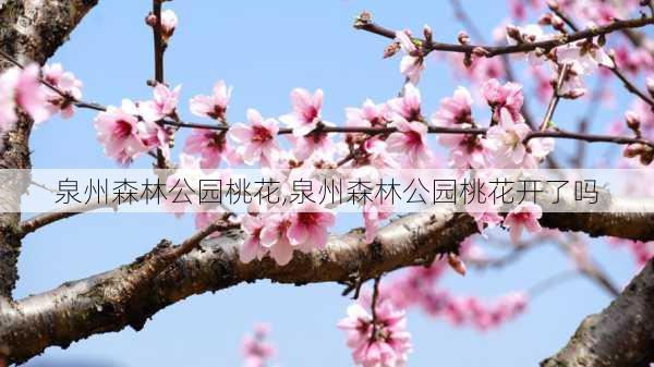 泉州森林公园桃花,泉州森林公园桃花开了吗