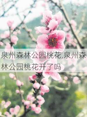 泉州森林公园桃花,泉州森林公园桃花开了吗