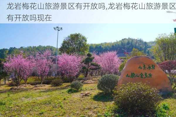 龙岩梅花山旅游景区有开放吗,龙岩梅花山旅游景区有开放吗现在