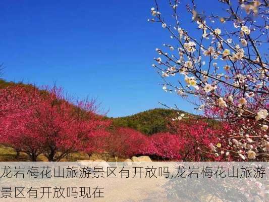 龙岩梅花山旅游景区有开放吗,龙岩梅花山旅游景区有开放吗现在