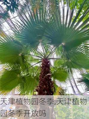 天津植物园冬季,天津植物园冬季开放吗