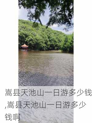 嵩县天池山一日游多少钱,嵩县天池山一日游多少钱啊