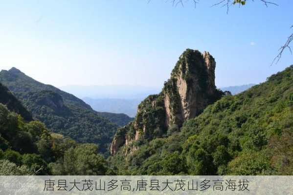 唐县大茂山多高,唐县大茂山多高海拔