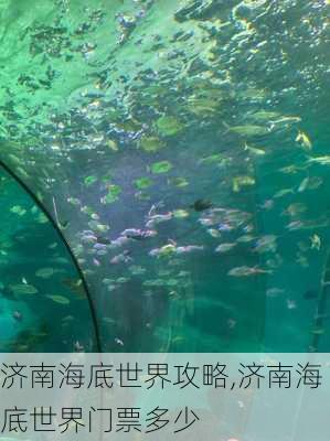 济南海底世界攻略,济南海底世界门票多少