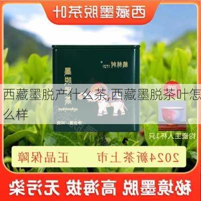 西藏墨脱产什么茶,西藏墨脱茶叶怎么样